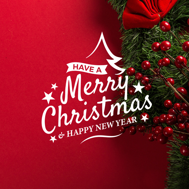 Merry Christmas & Happy New Year !